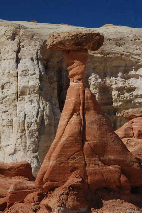 the toadstool trail